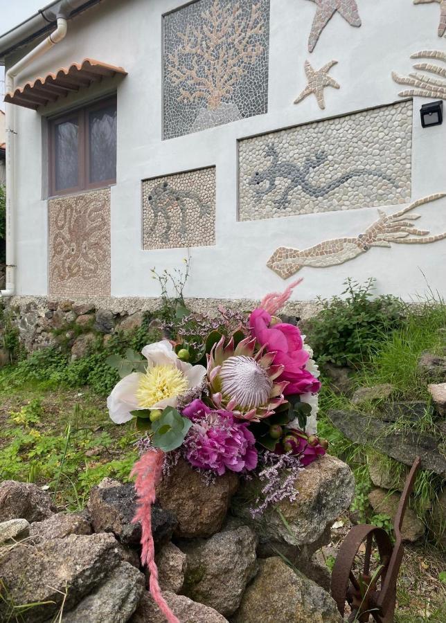 La Casetta Dei Mosaici Capraia Exteriér fotografie